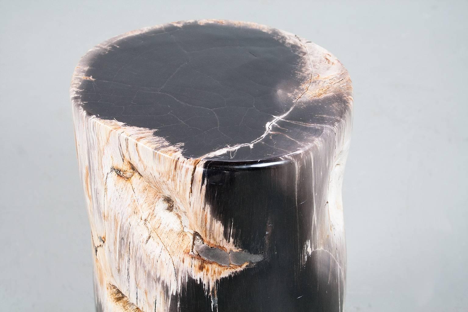 Indonesian Petrified Wood Polished Side Table or Pedestal of High Quality
