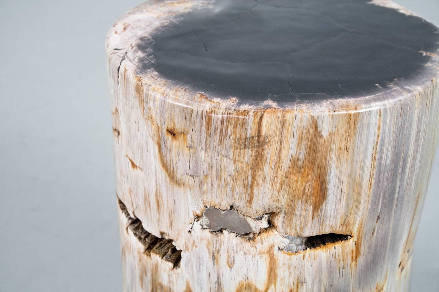 Petrified Wood Polished Side Table or Pedestal of High Quality  In Excellent Condition In Beek en Donk, NL