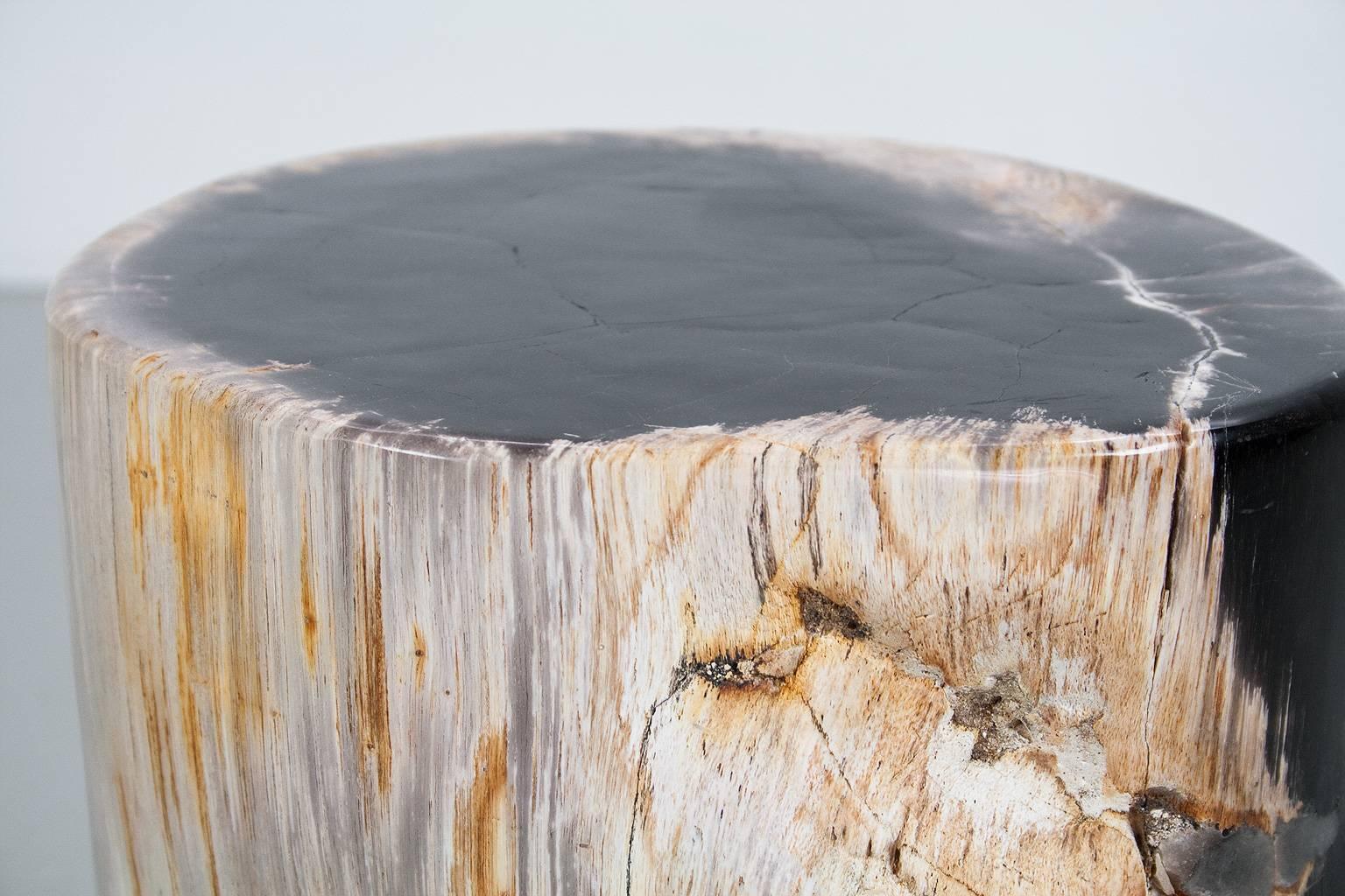 18th Century and Earlier Petrified Wood Polished Side Table or Pedestal of High Quality 