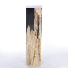 Petrified Wood Raw A Pedestal
