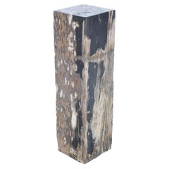 Petrified Wood Raw B Pedestal