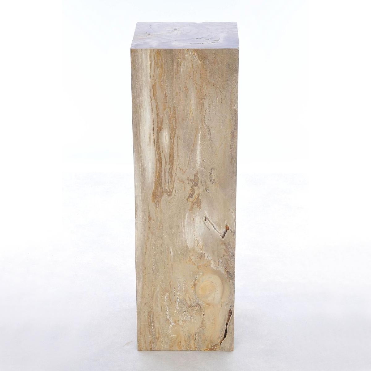 Pedestal Petrified Wood Raw C with all structure 
in carved and polished petrified wood.