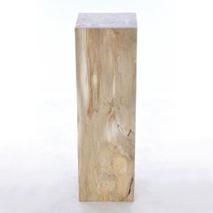 Petrified Wood Raw C Pedestal