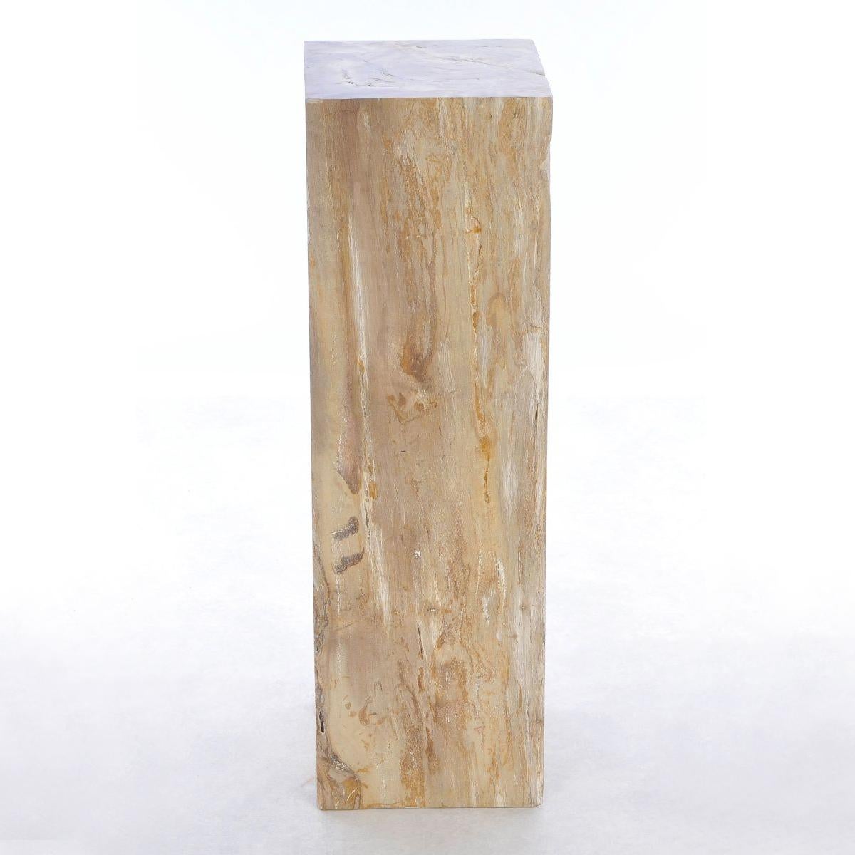 Versteinertes Wood Raw C Pedestal (Indonesisch) im Angebot