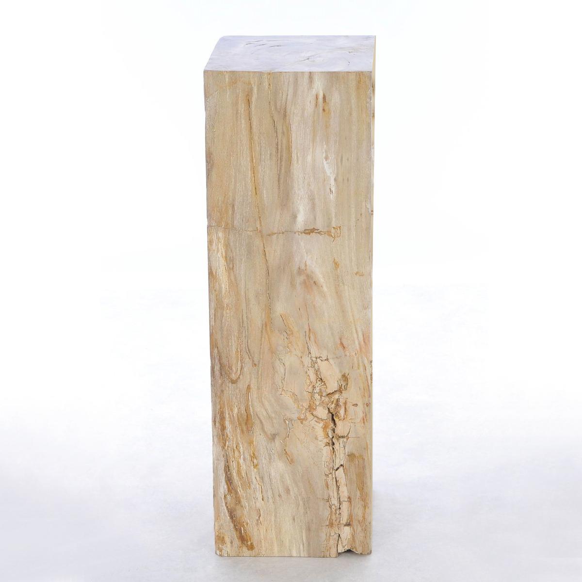 Versteinertes Wood Raw C Pedestal (Handgefertigt) im Angebot