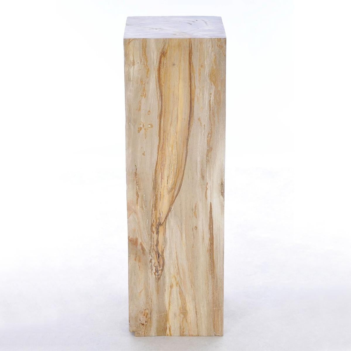 Indonesian Petrified Wood Raw C Pedestal For Sale