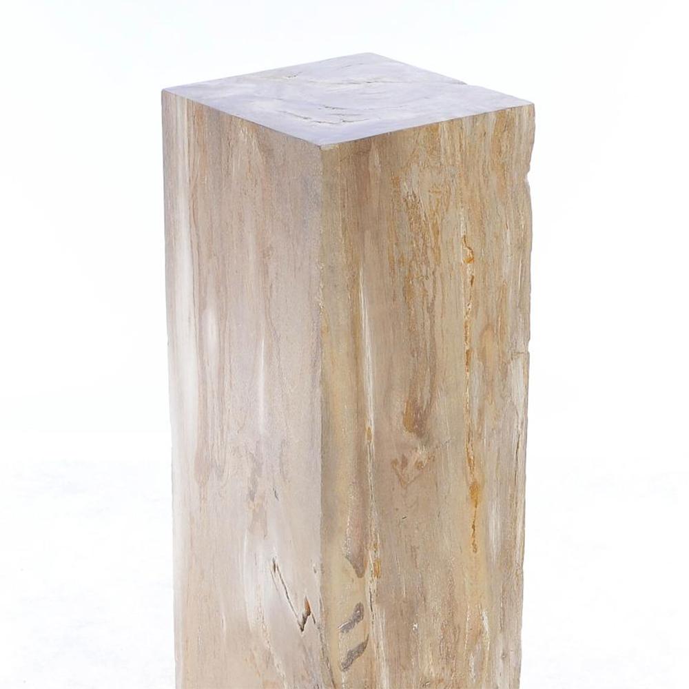 Hand-Crafted Petrified Wood Raw C Pedestal For Sale