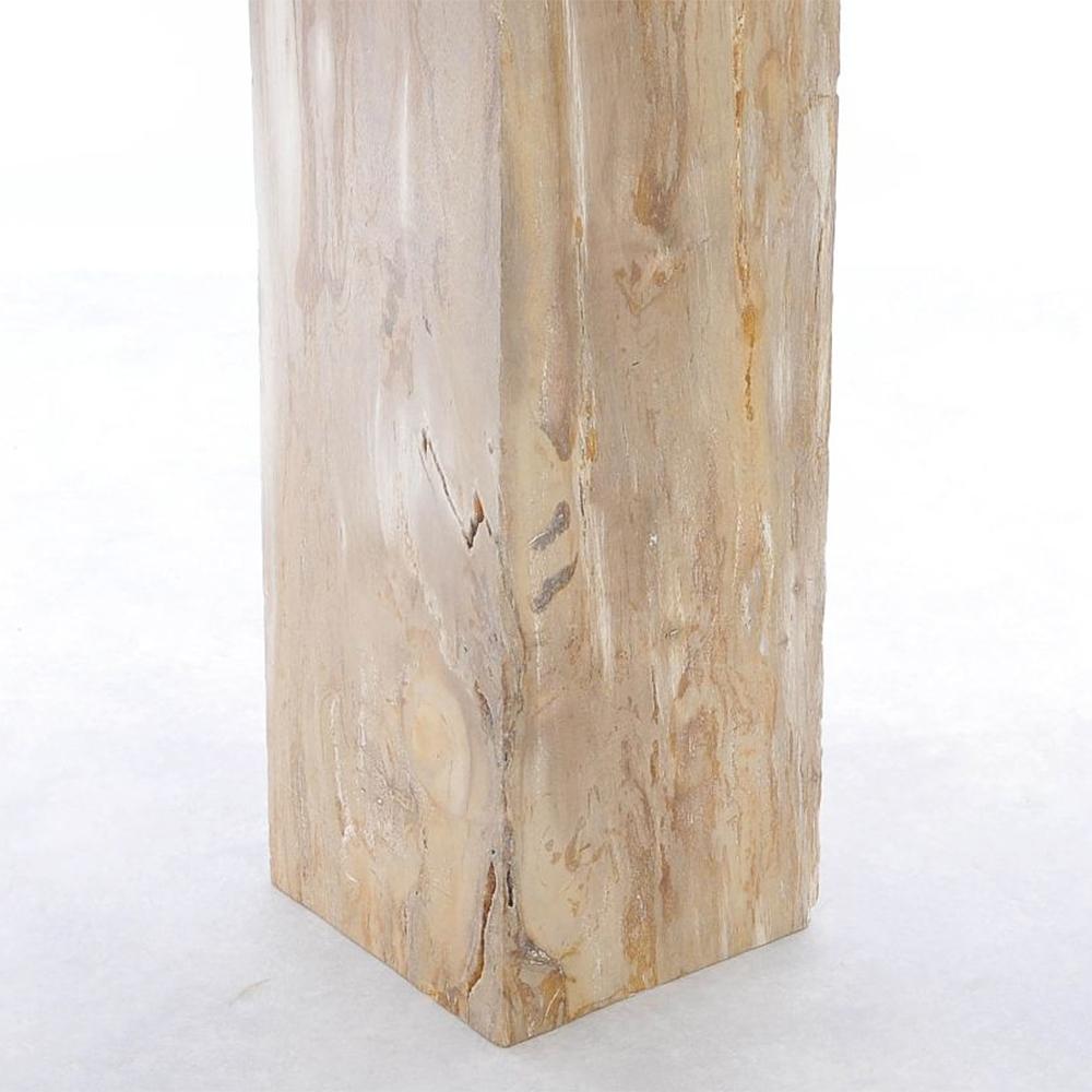 Petrified Wood Raw C Pedestal In New Condition For Sale In Paris, FR