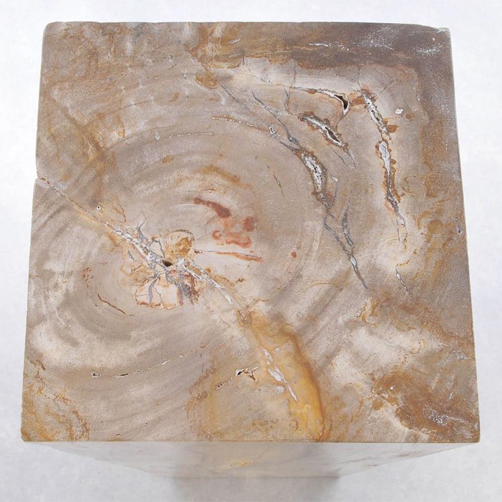 Contemporary Petrified Wood Raw C Pedestal For Sale