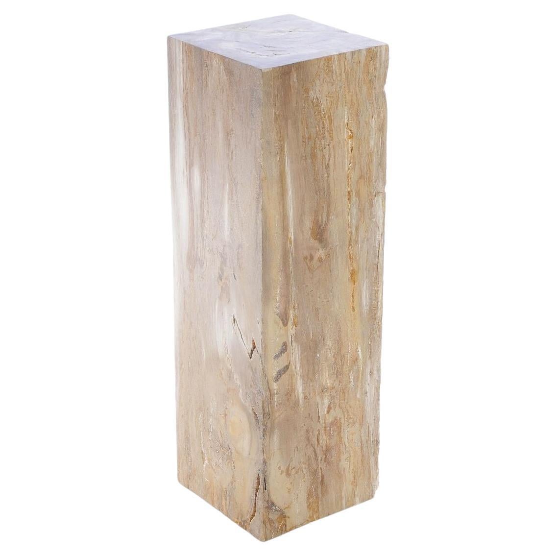 Petrified Wood Raw C Pedestal For Sale