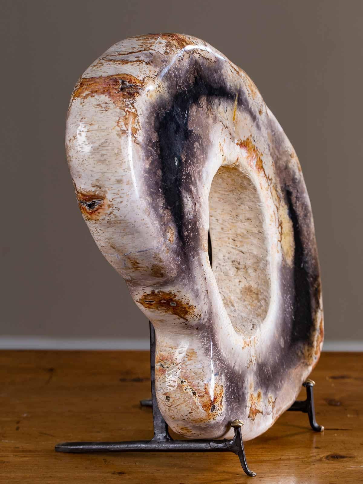 Petrified Wood Ring Sculpture on Custom Stand 1