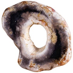 Petrified Wood Ring Sculpture on Custom Stand