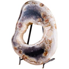 Petrified Wood Ring Sculpture on Iron Stand