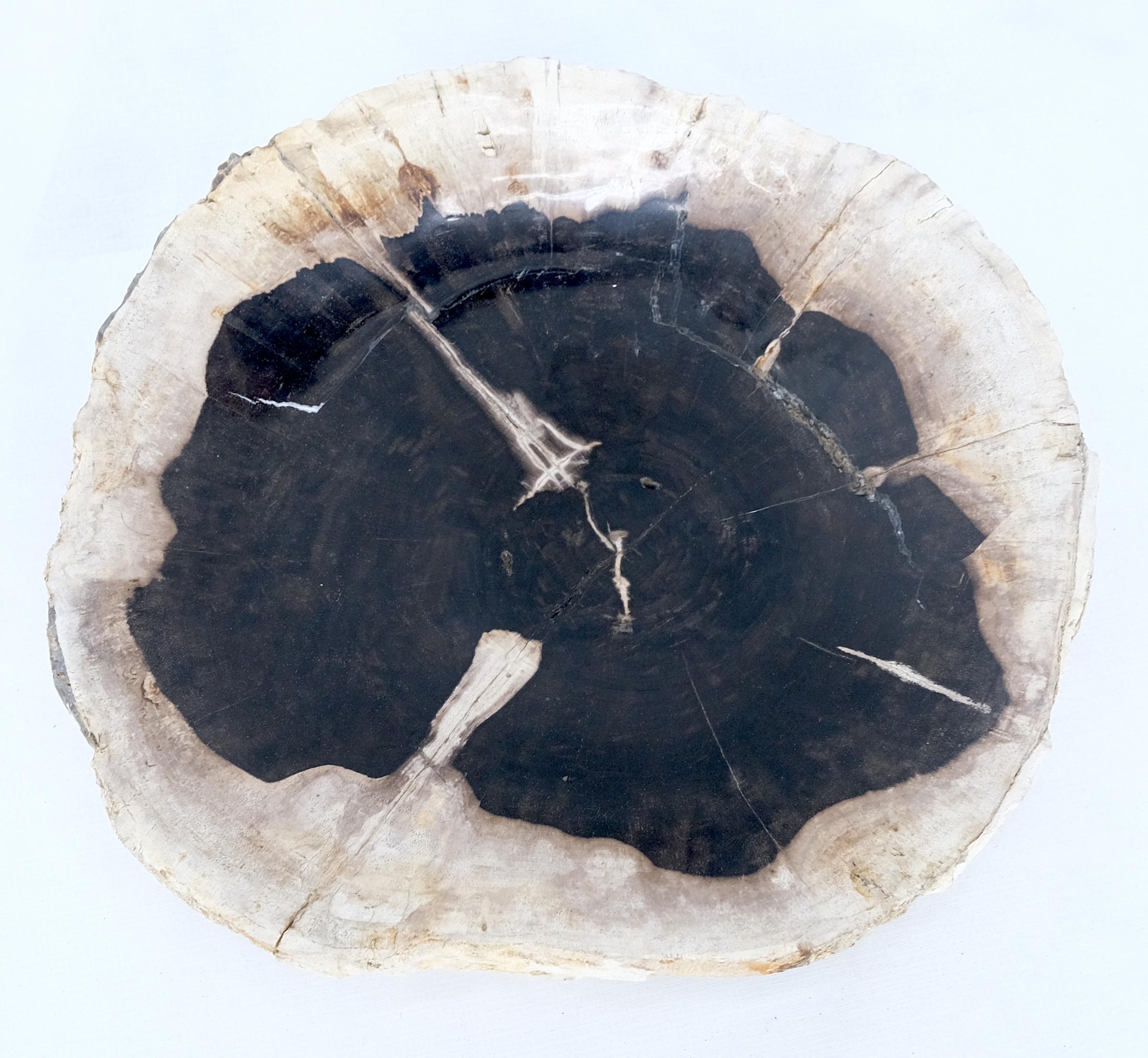 Turned Petrified Wood Round Black & Beige Bowl Dish Large Plate For Sale