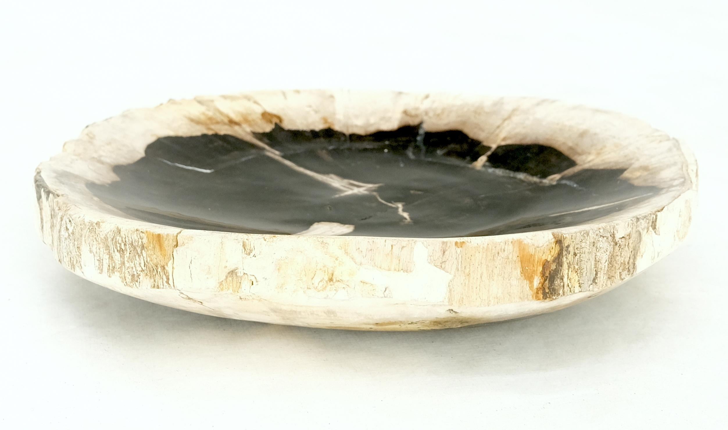 Petrified Wood Round Black & Beige Bowl Dish Large Plate In Excellent Condition For Sale In Rockaway, NJ