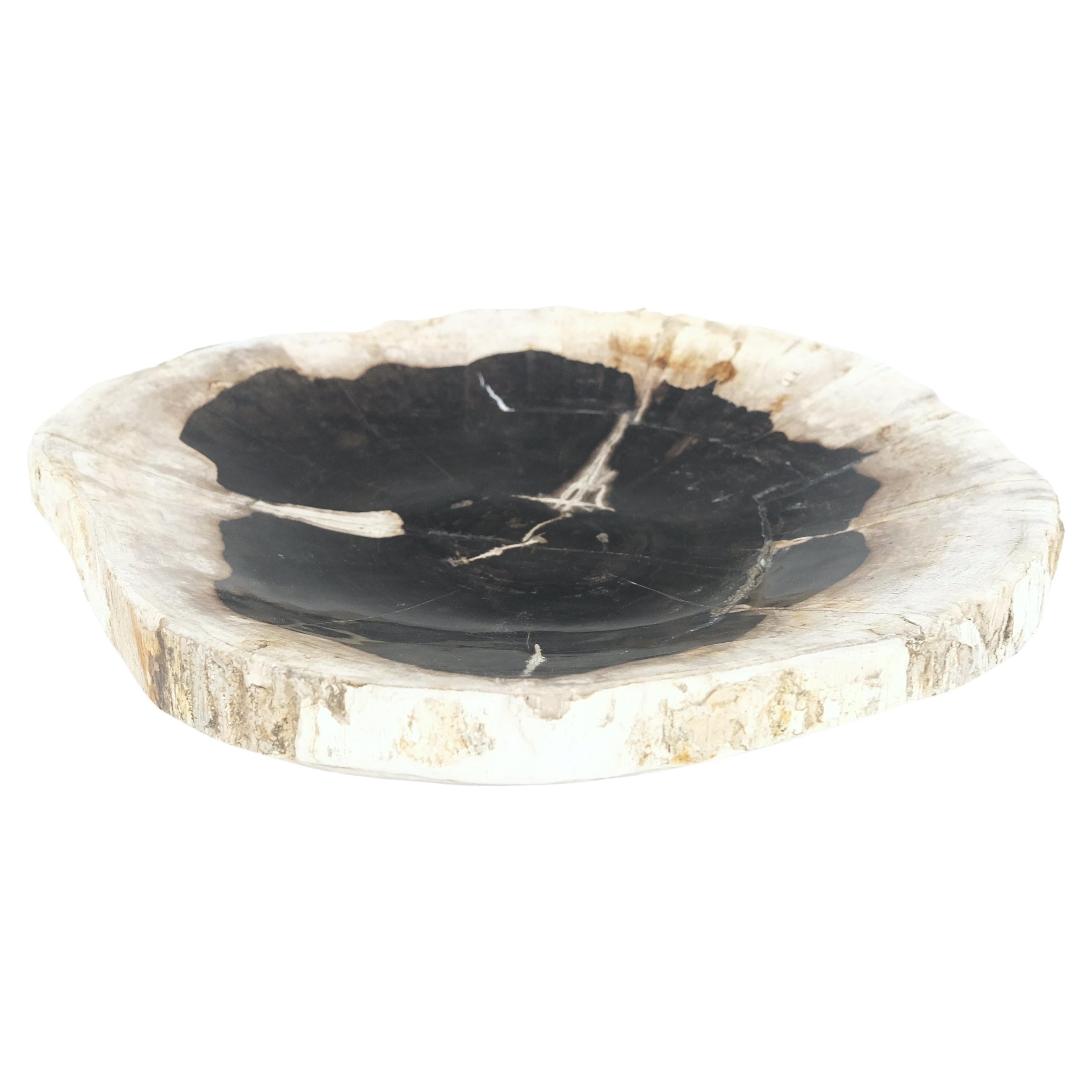 Plato grande redondo de madera petrificada negro y beige