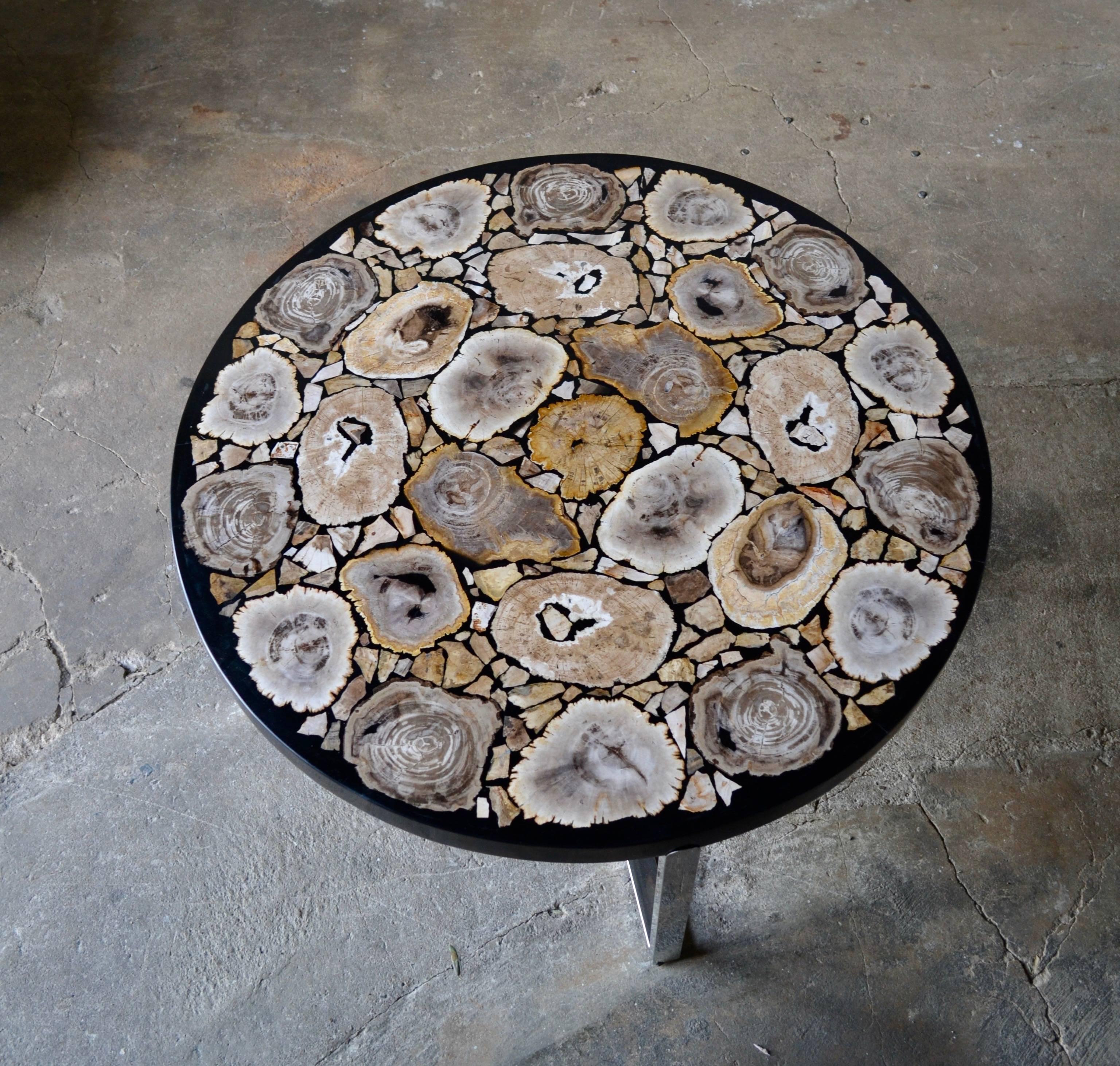 Petrified wood round coffee table black gloss and stainless steel base

Petrified wood (from the Greek root petro meaning 