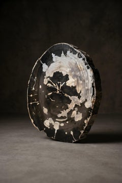 Petrified Wood Round Coffee Table Top, Organic Modern, 21st Century