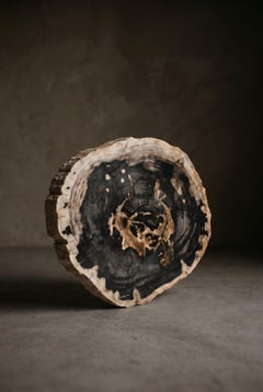 Petrified Wood Round Coffee Table Top, Organic Modern, 21st Century