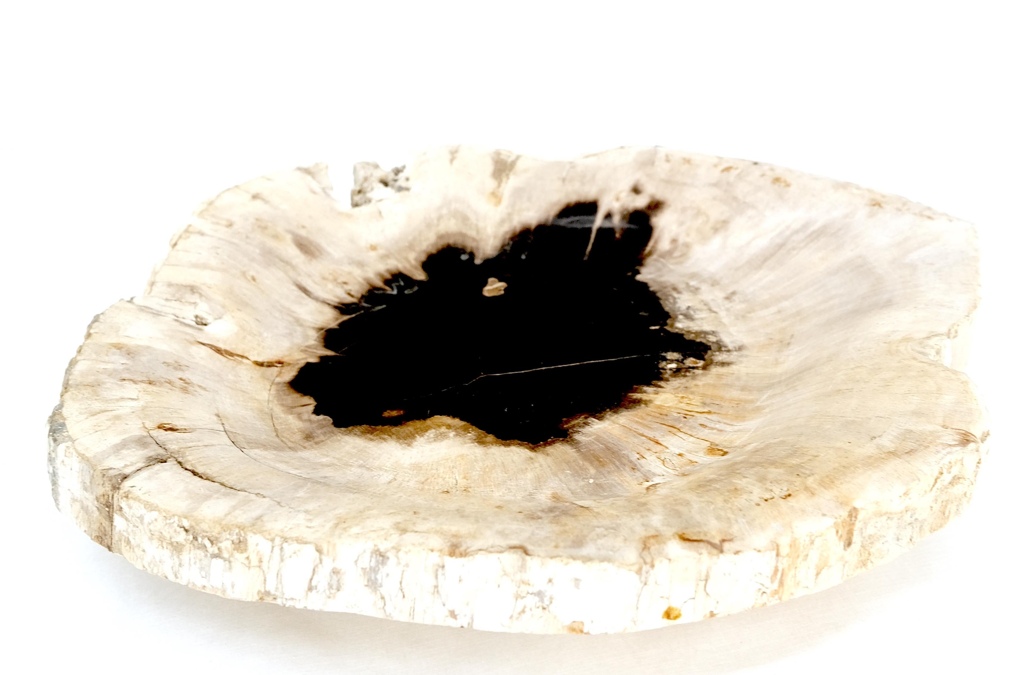 Polished Petrified Wood Round Shape  Black & Tan Bowl Dish Large Plate Ashtray For Sale