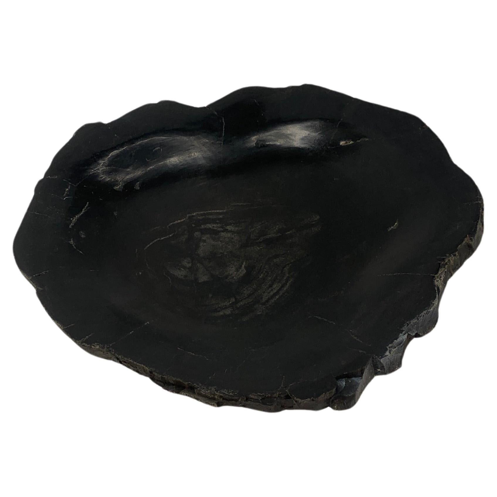 Mid-Century Modern Petrified Wood Round Shape Solid Black Round Bowl Dish Large Plate Ashtray For Sale