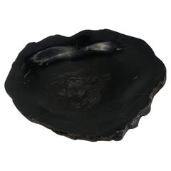 Petrified Wood Round Shape Solid Black Round Bowl Dish Large Plate Ashtray