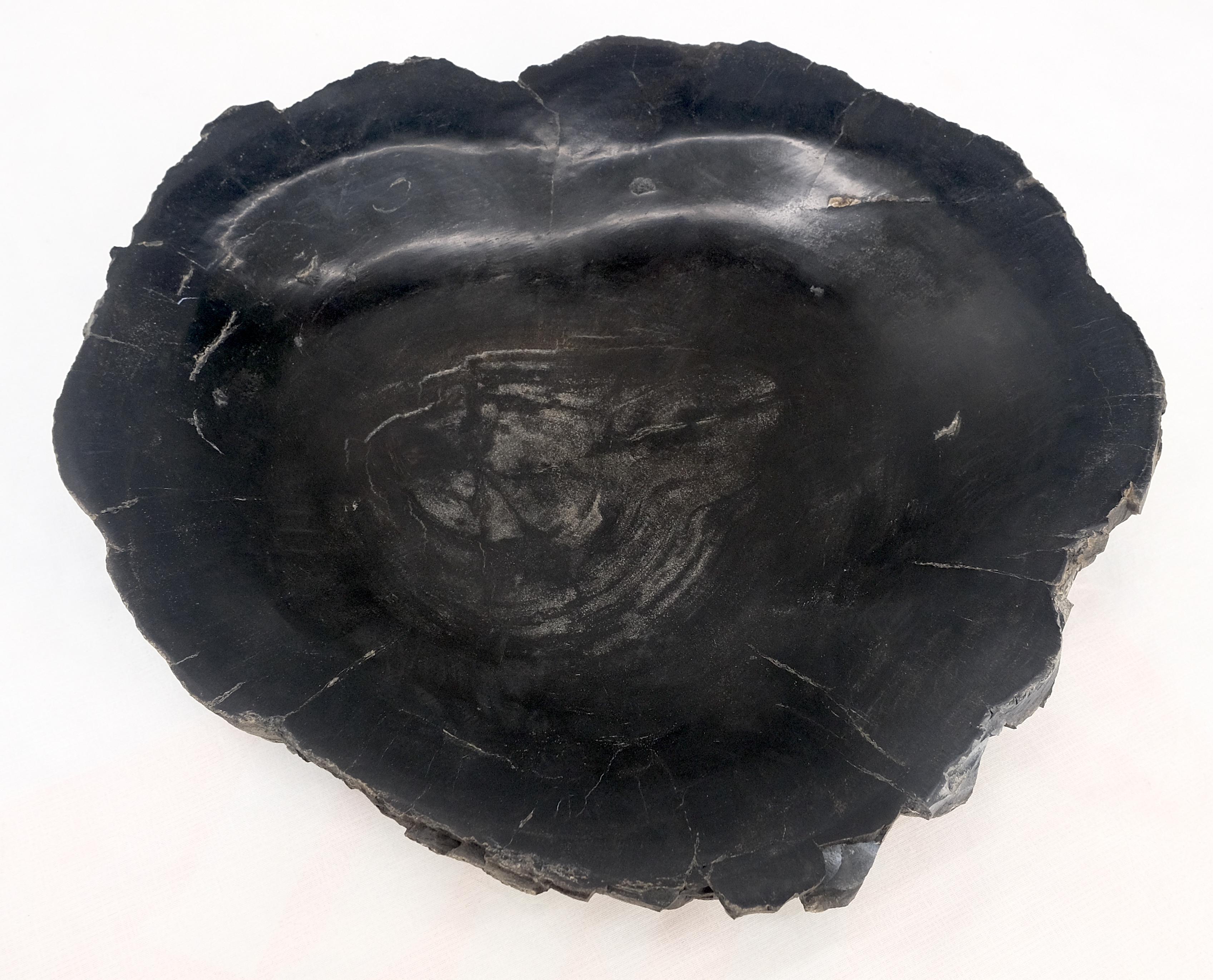 Petrified Wood Round Shape Solid Black Round Bowl Dish Large Plate Ashtray In Excellent Condition For Sale In Rockaway, NJ