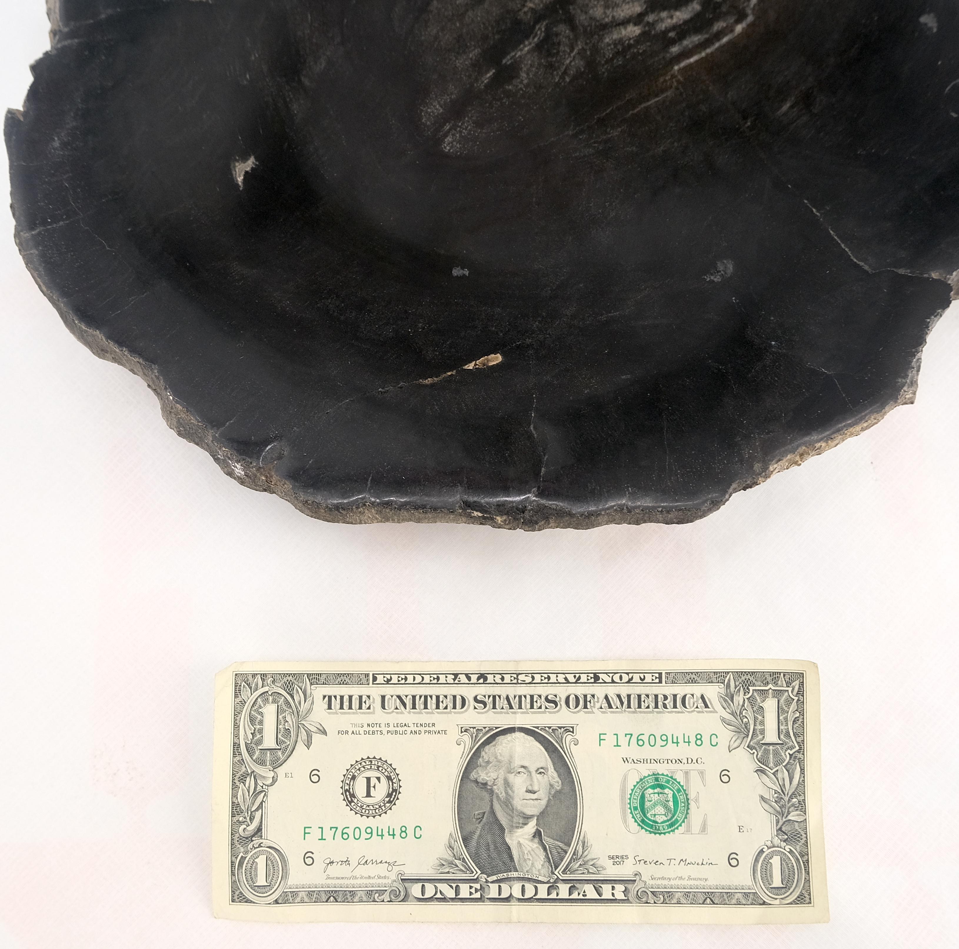 Petrified Wood Round Shape Solid Black Round Bowl Dish Large Plate Ashtray For Sale 1