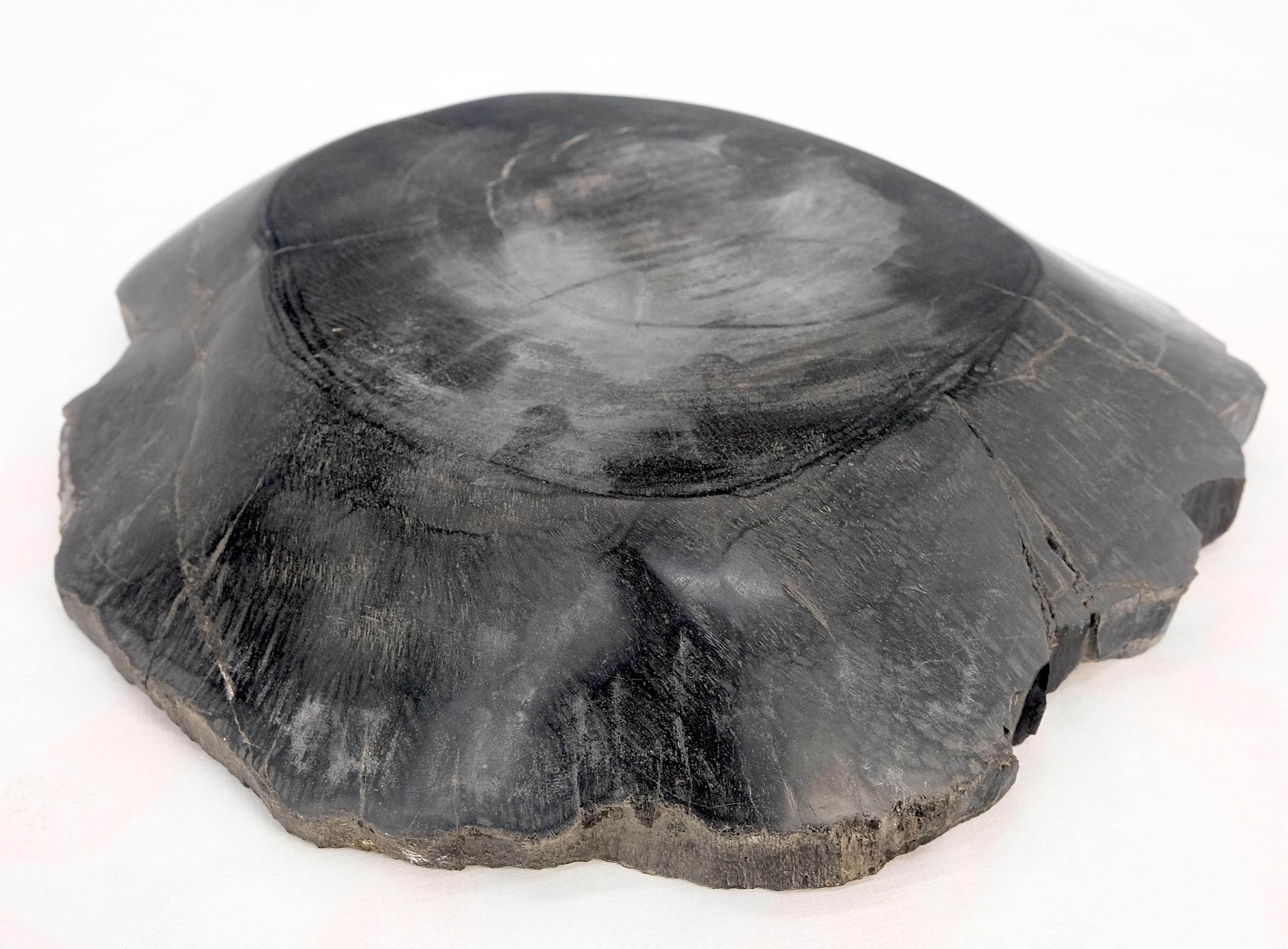 Petrified Wood Round Shape Solid Black Round Bowl Dish Large Plate Ashtray For Sale 2