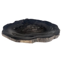 Petrified Wood Round Shape Solid Black Round Bowl Dish Large Plate Ashtray