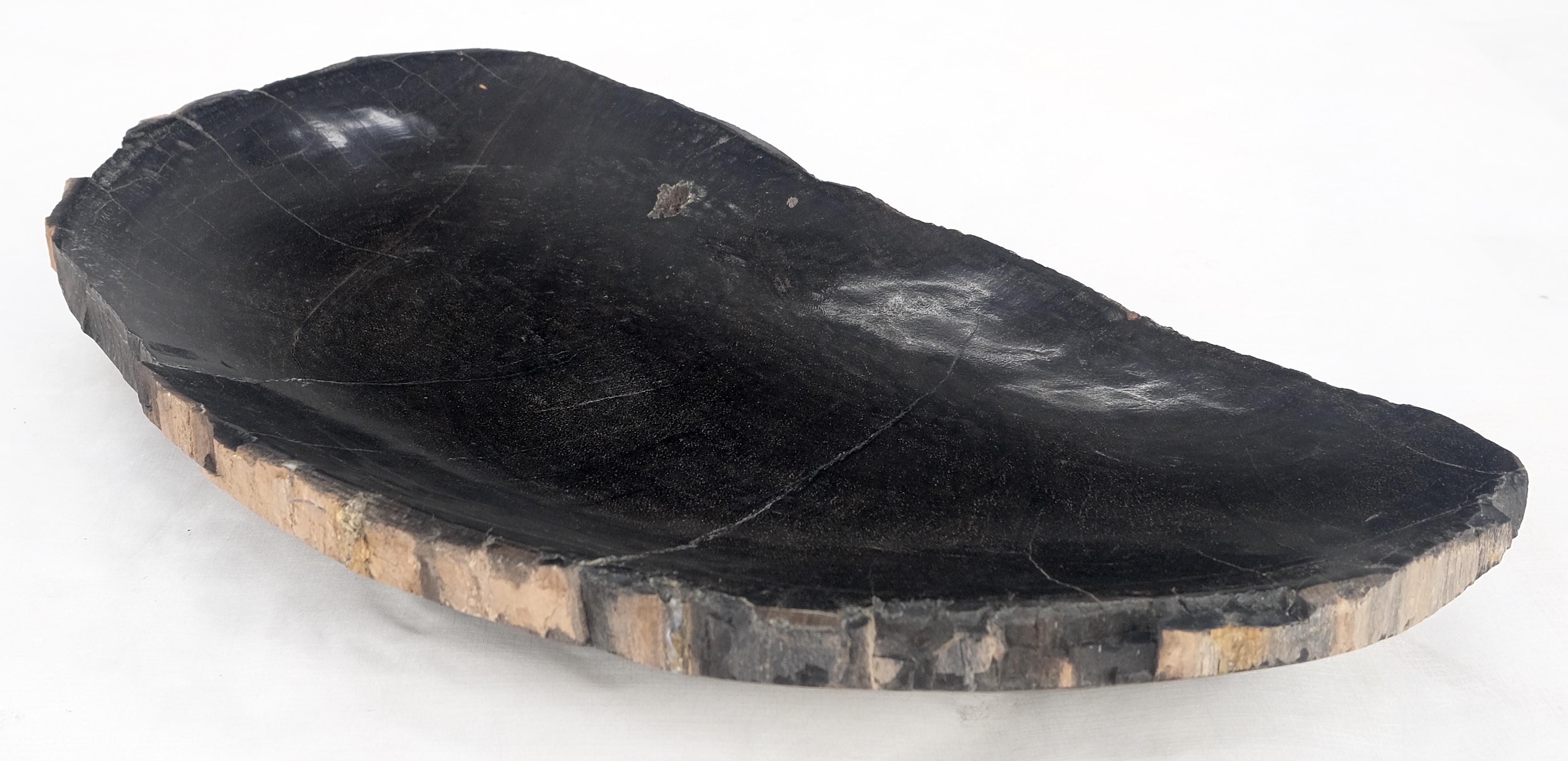 Petrified Wood Round Shape Solid Black Round Bowl Dish Large Plate Ashtray MINT! For Sale 2