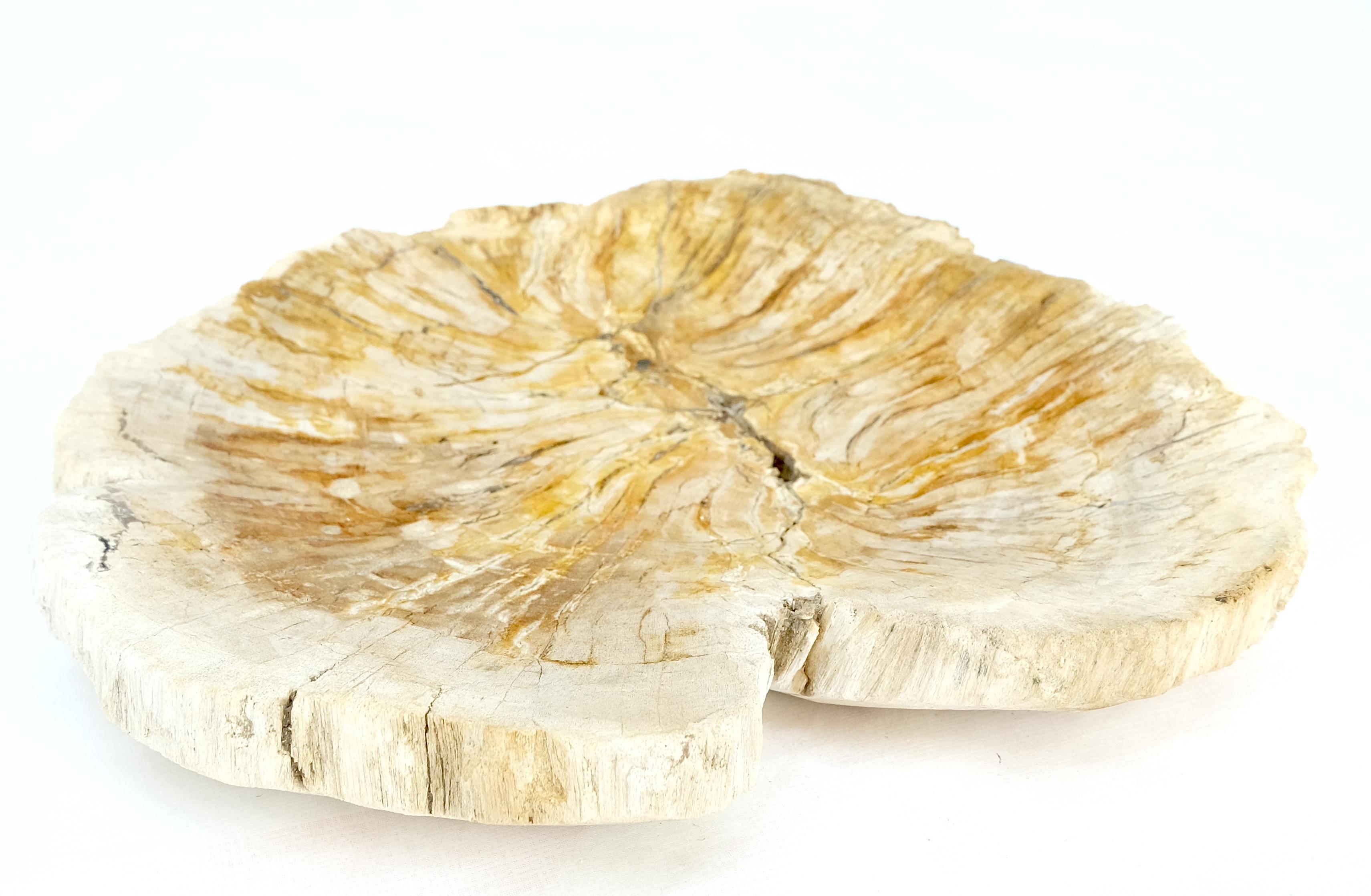 Mid-Century Modern Petrified Wood Round Shape Tan & Amber Oval Bowl Dish Large Plate Ashtray For Sale