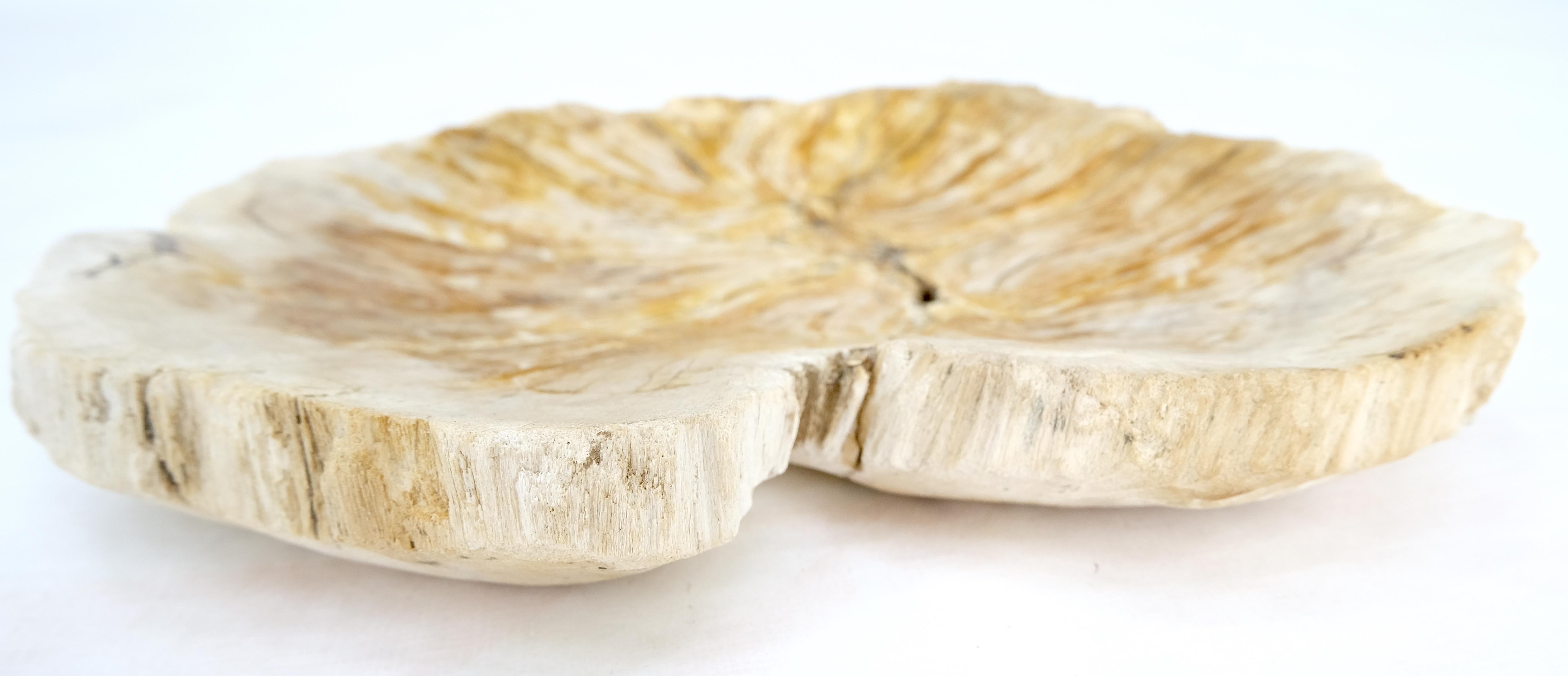 Indonesian Petrified Wood Round Shape Tan & Amber Oval Bowl Dish Large Plate Ashtray For Sale