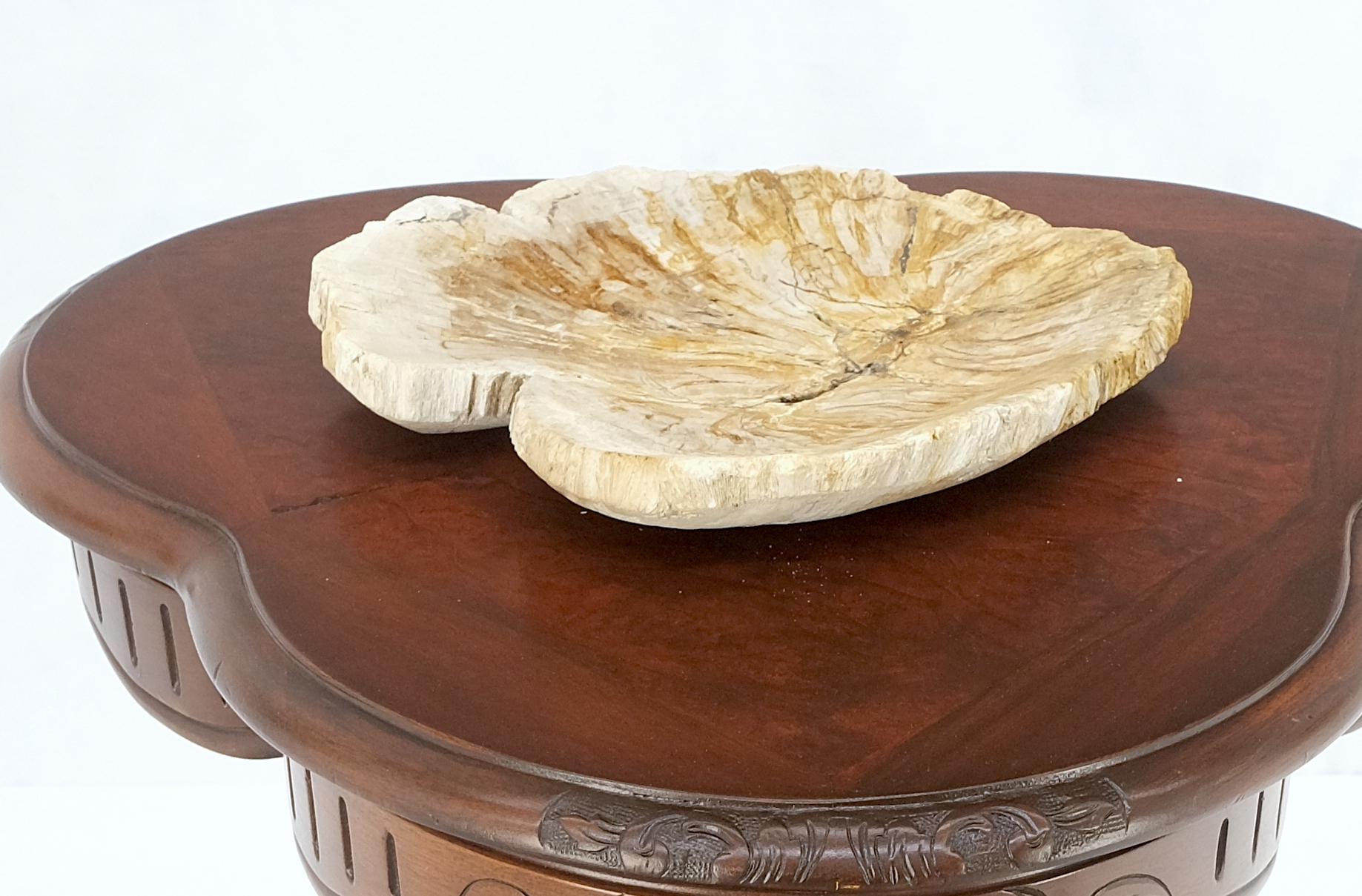 Petrified Wood Round Shape Tan & Amber Oval Bowl Dish Large Plate Ashtray For Sale 1