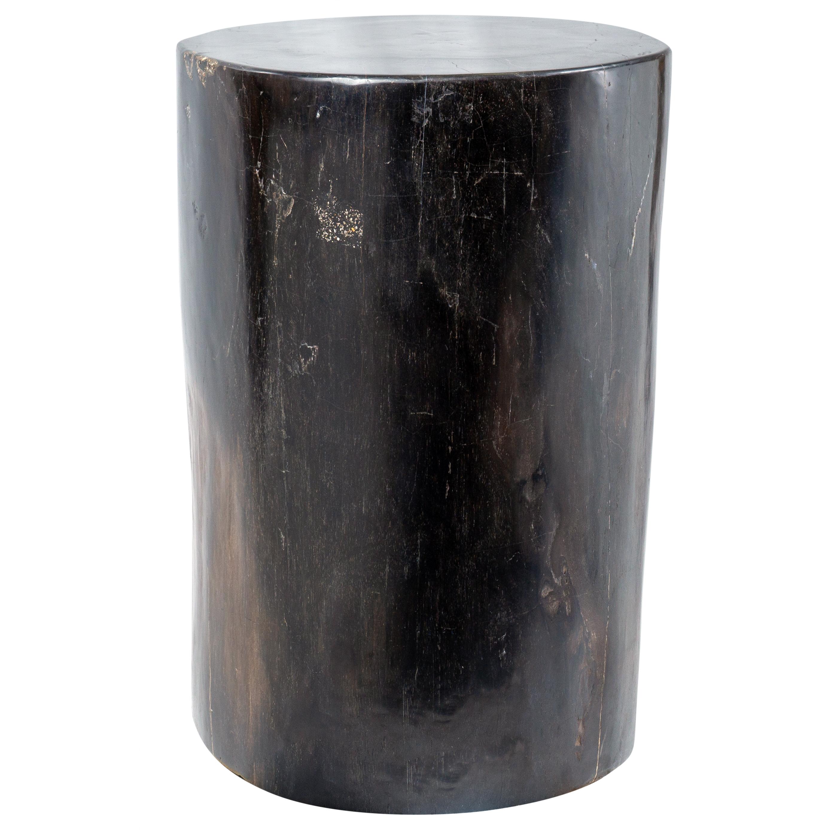 This petrified wood side table offers a striking all-black surface with a high-gloss, polished finish that showcases the dramatic interplay of dark tones and natural charred umber scorch marks. The fossilized patterns of the wood are beautifully