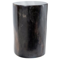 Petrified Wood Rustic Side Table
