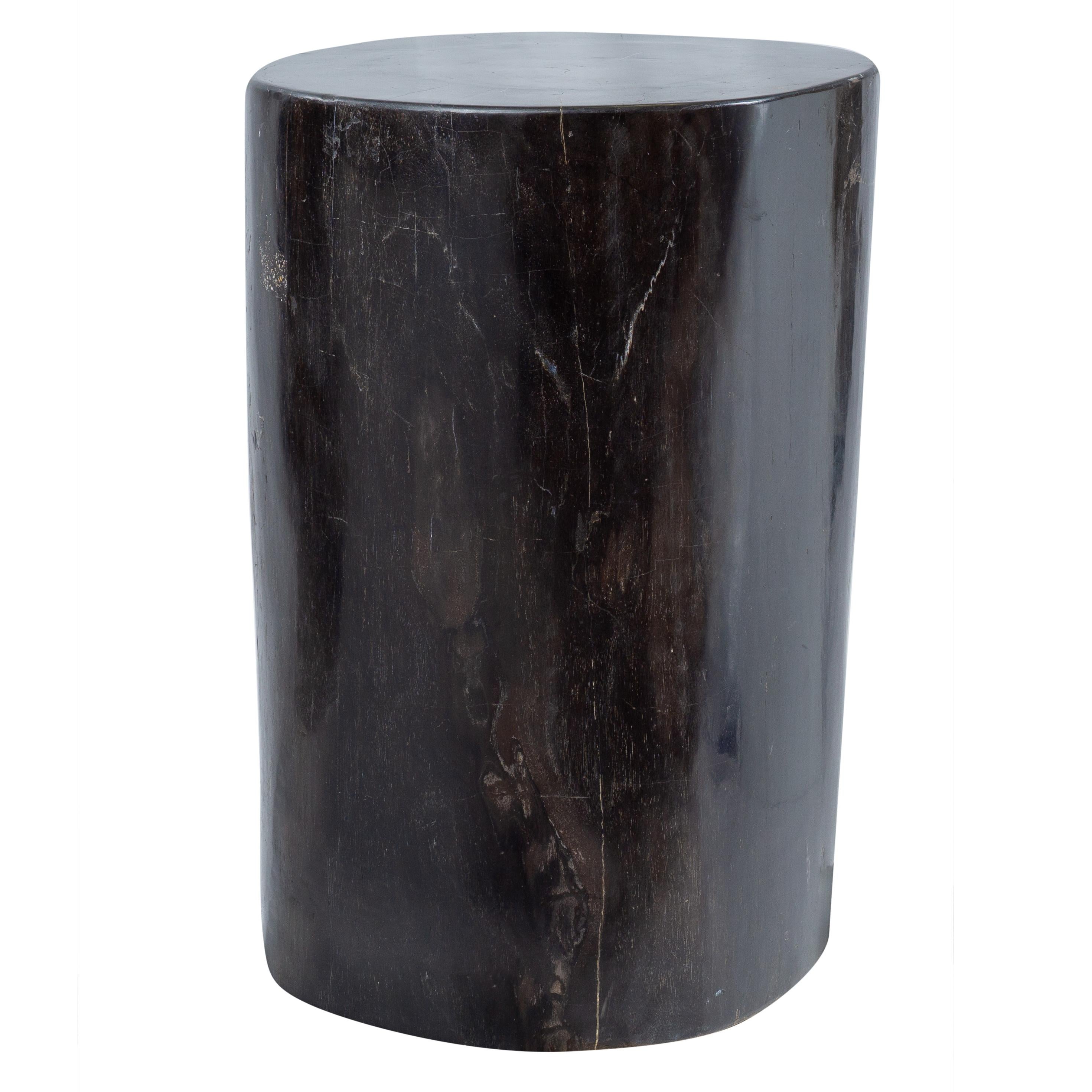 Organic Modern Petrified Wood Rustic Side Table