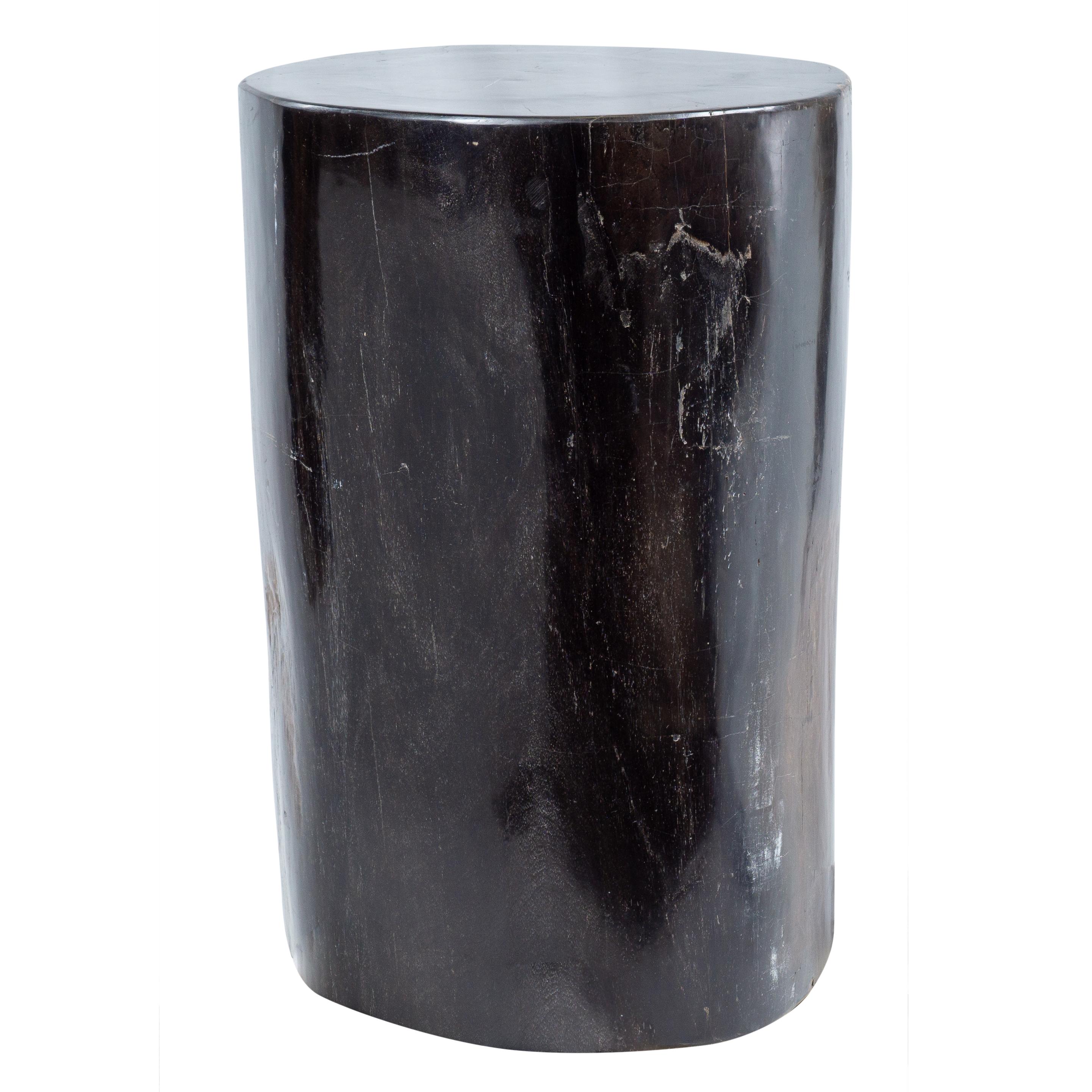 Indonesian Petrified Wood Rustic Side Table