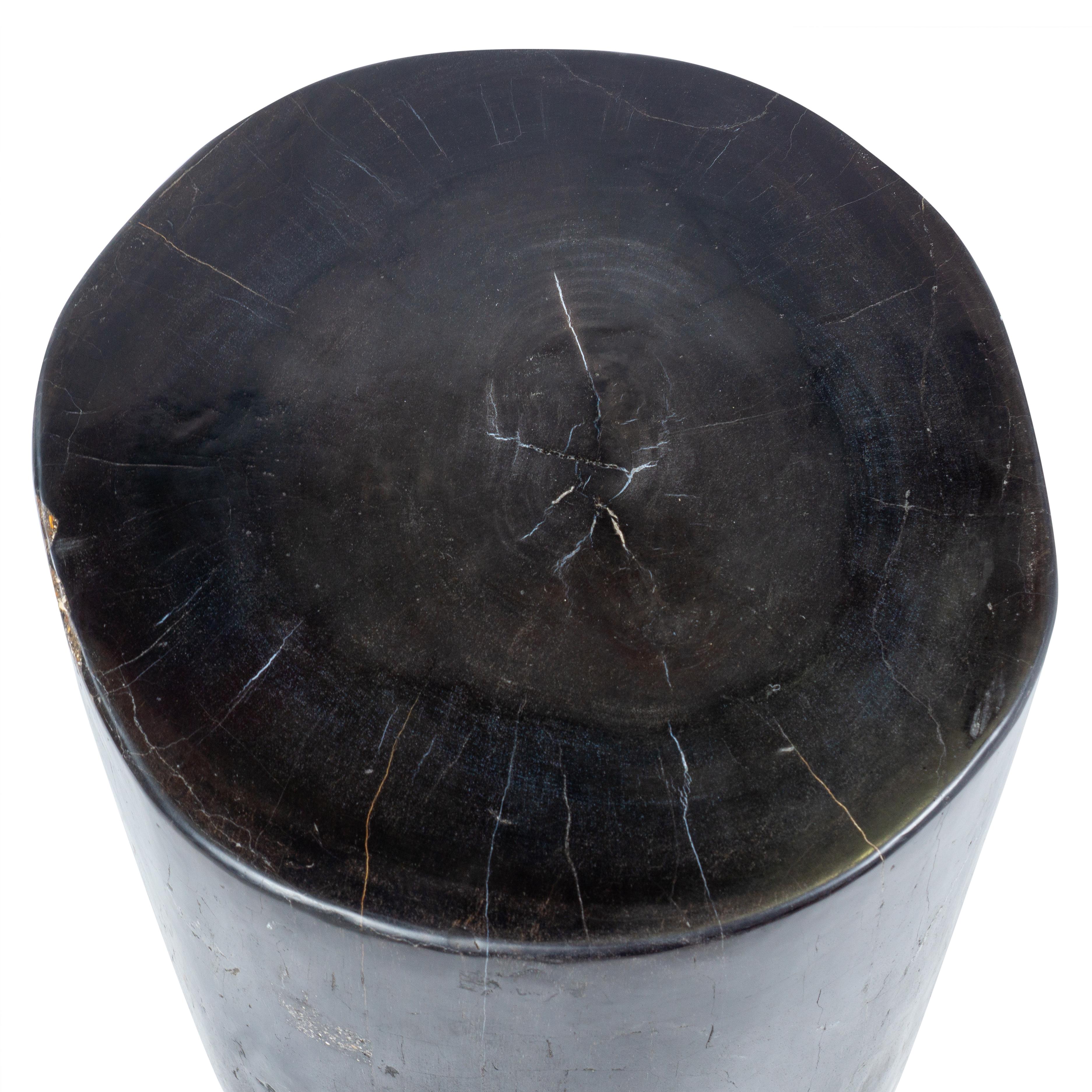 Polished Petrified Wood Rustic Side Table