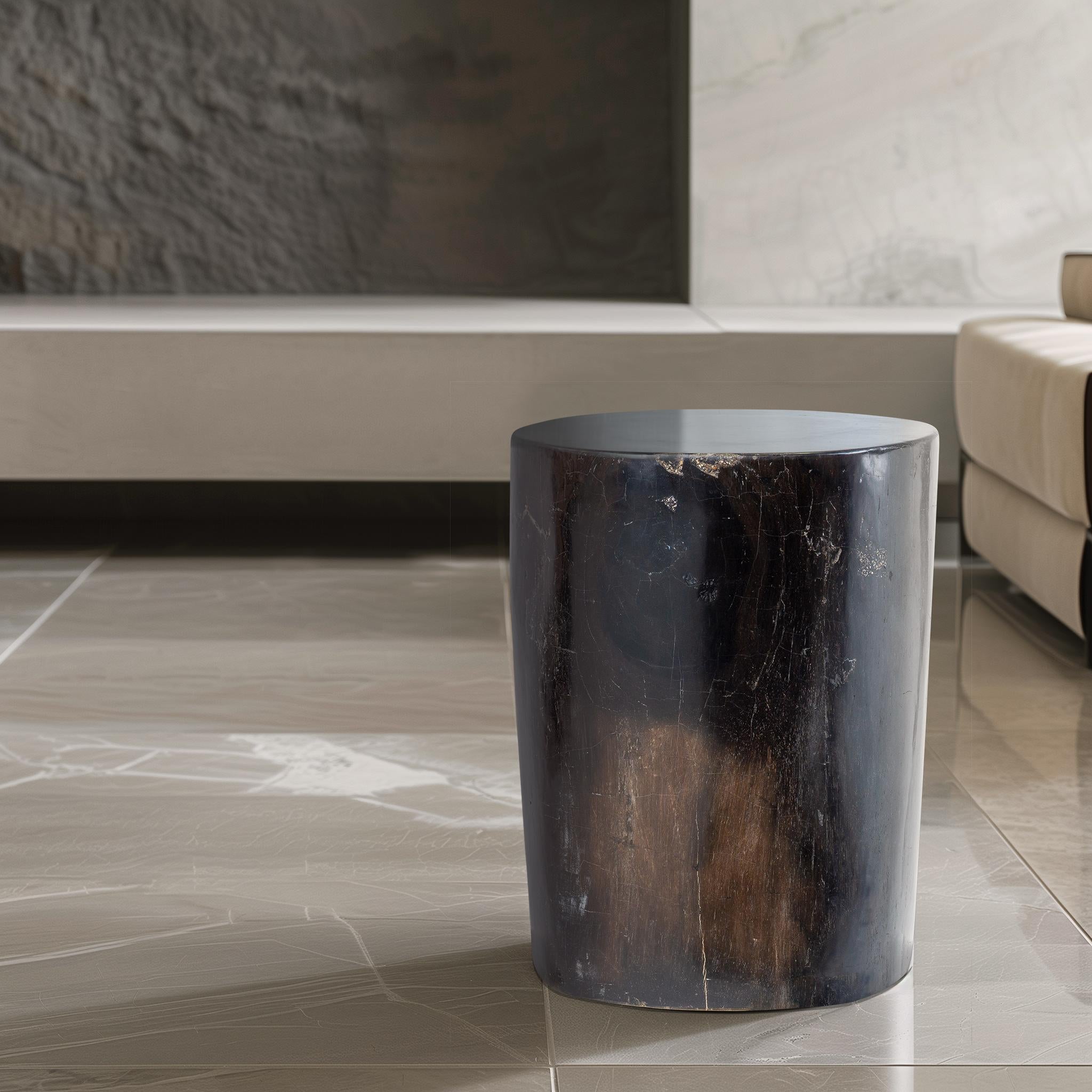 Contemporary Petrified Wood Rustic Side Table