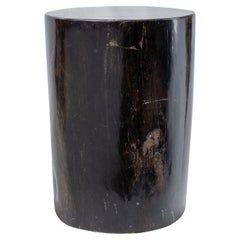 Tavolino rustico in Wood pietrificato