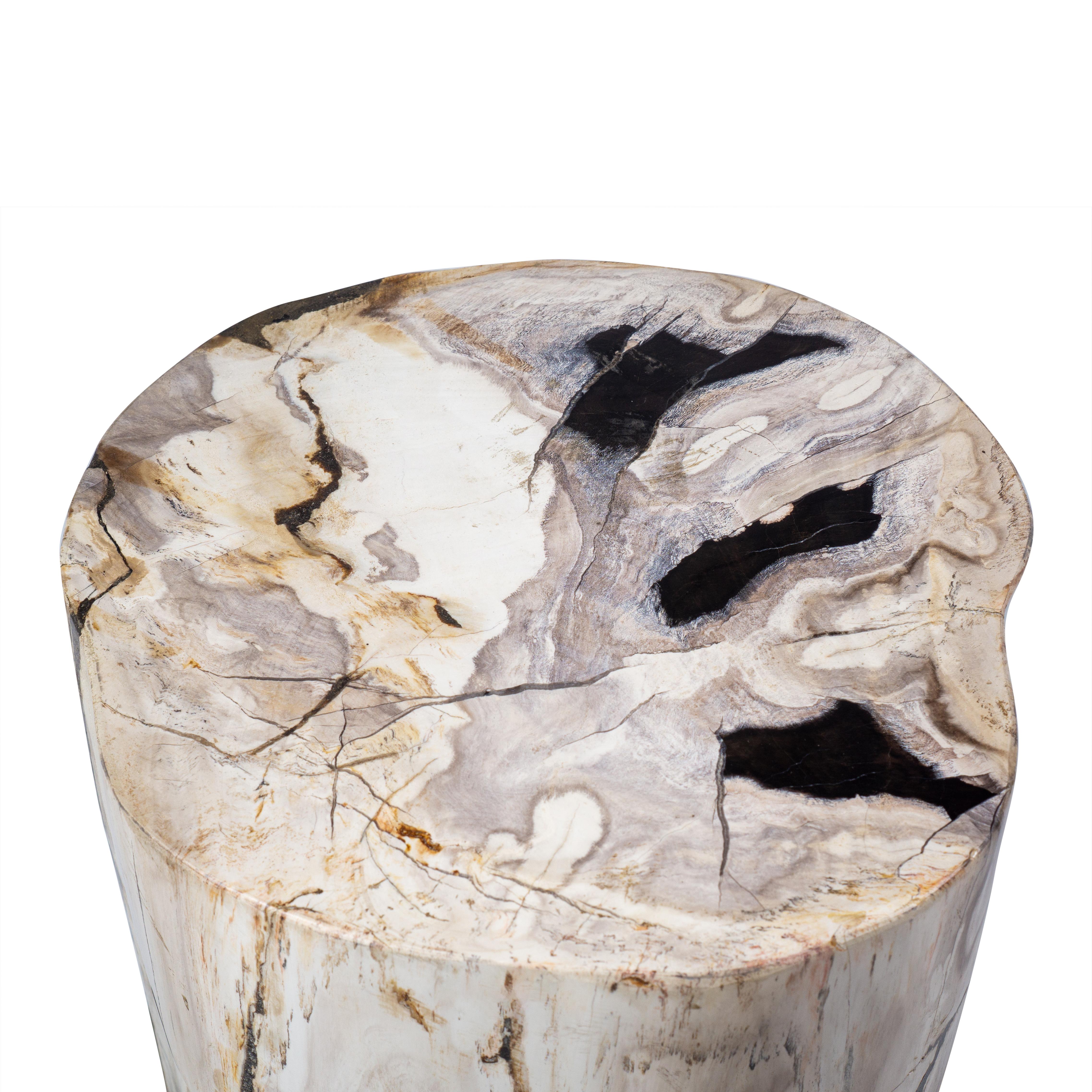 Organic Modern Petrified Wood Rustic Side Table - Organic Centerpiece For Sale