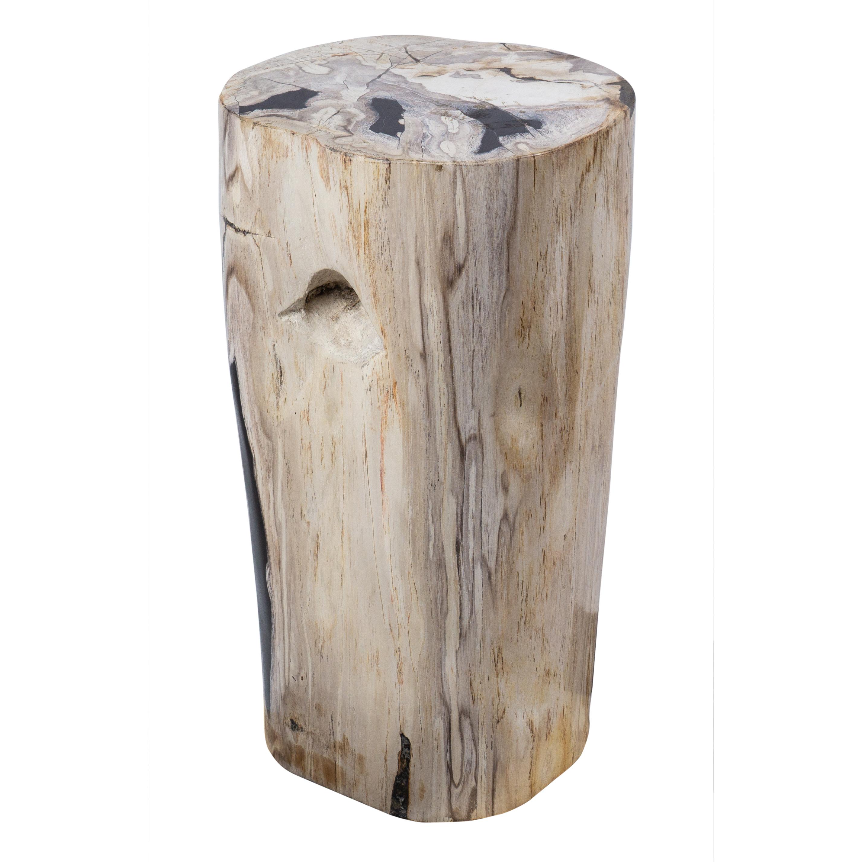 Indonesian Petrified Wood Rustic Side Table - Organic Centerpiece For Sale