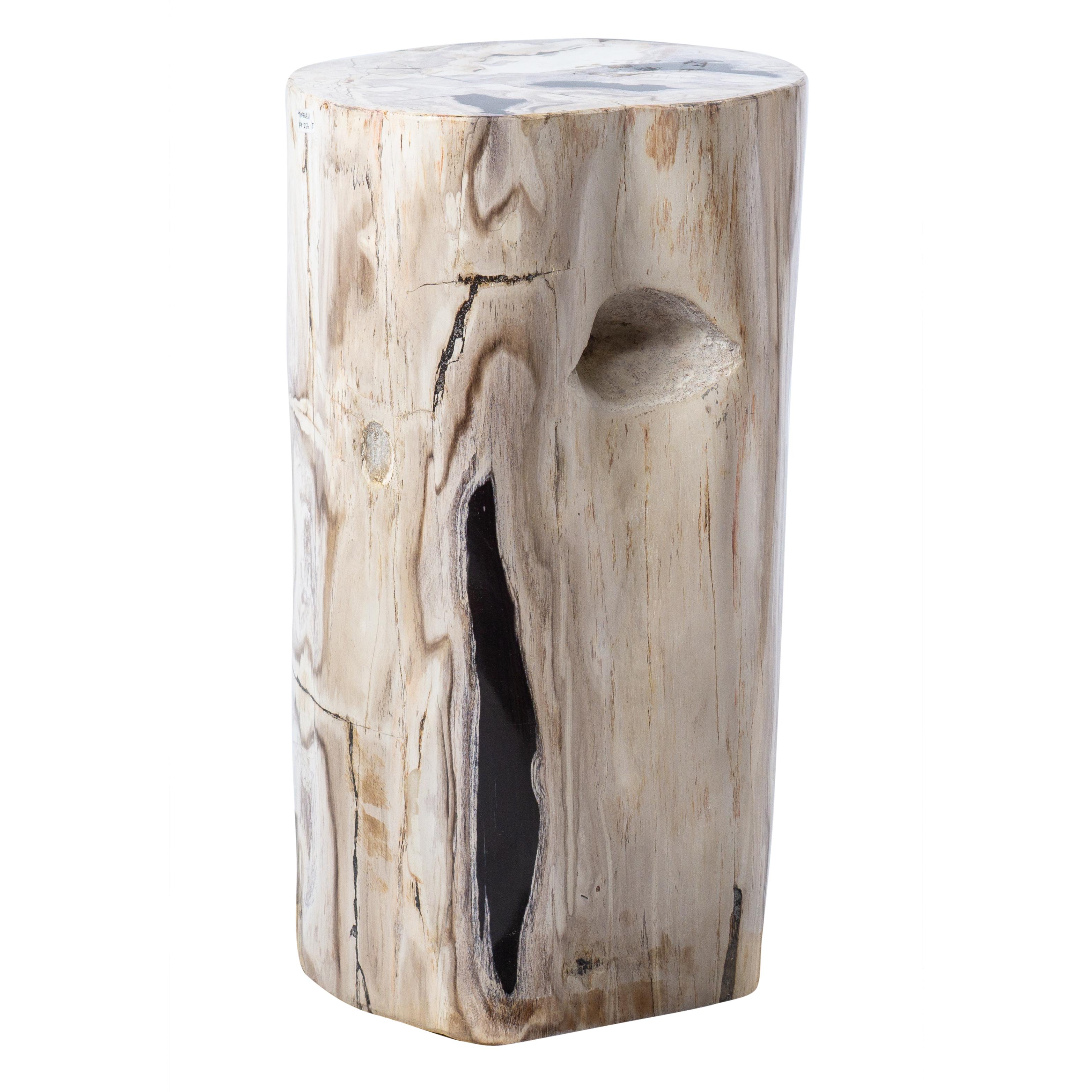 Polished Petrified Wood Rustic Side Table - Organic Centerpiece For Sale