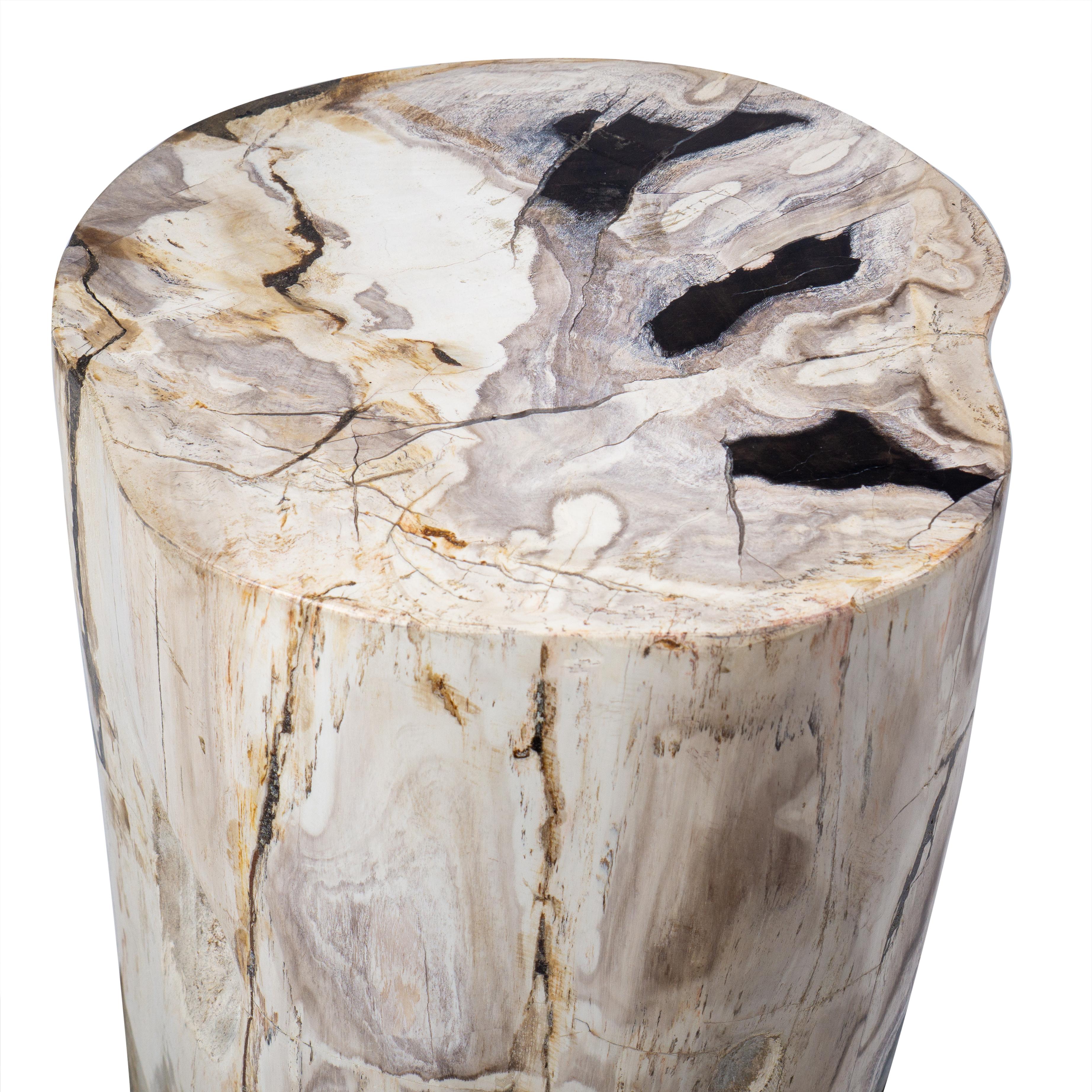 Petrified Wood Rustic Side Table - Organic Centerpiece In Excellent Condition For Sale In Feasterville Trevose, PA