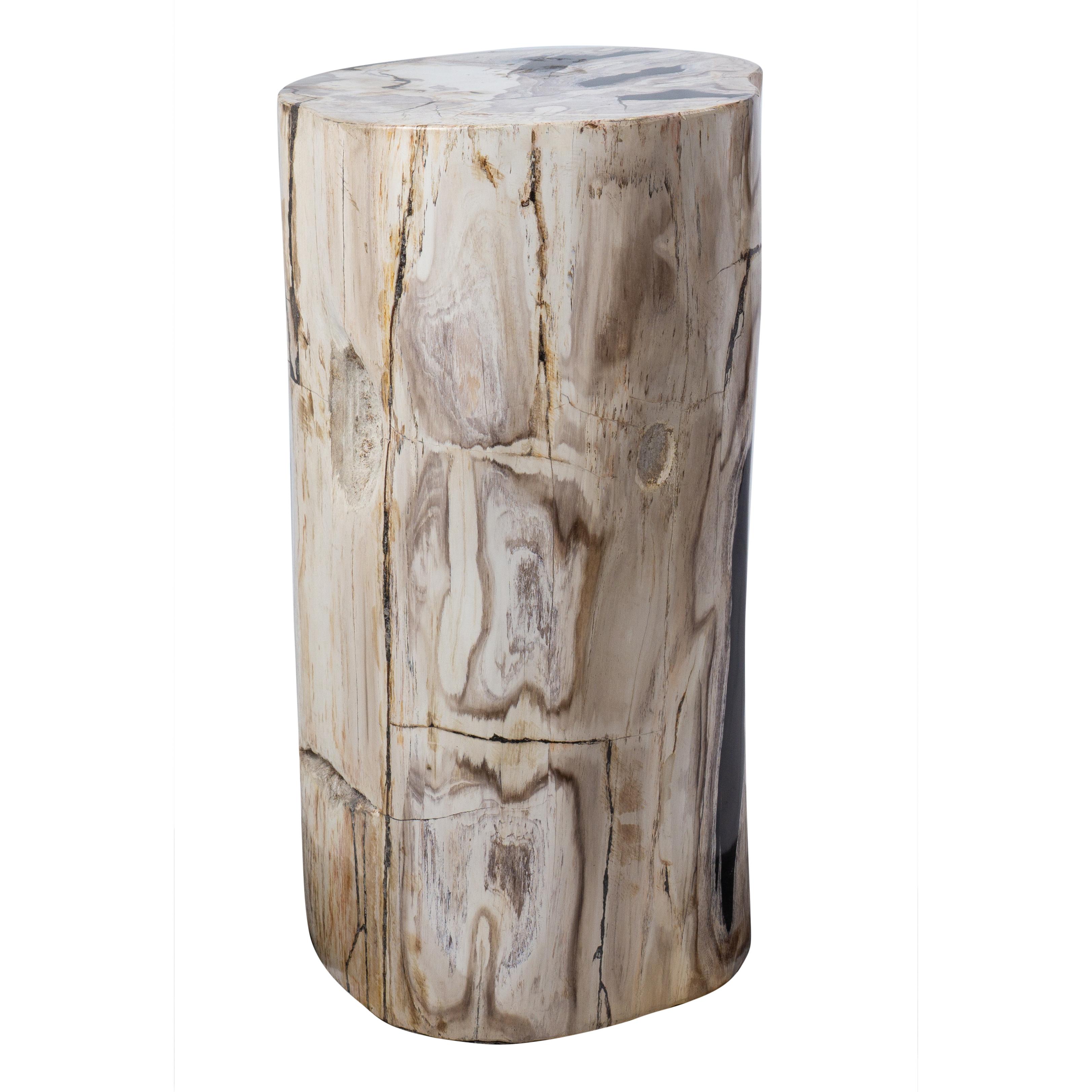 Contemporary Petrified Wood Rustic Side Table - Organic Centerpiece For Sale