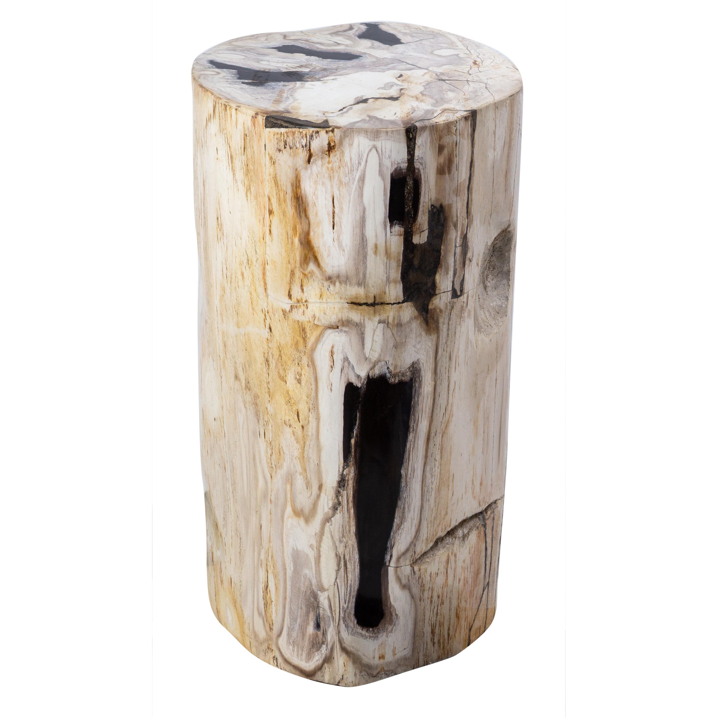 Petrified Wood Rustic Side Table - Organic Centerpiece For Sale 1