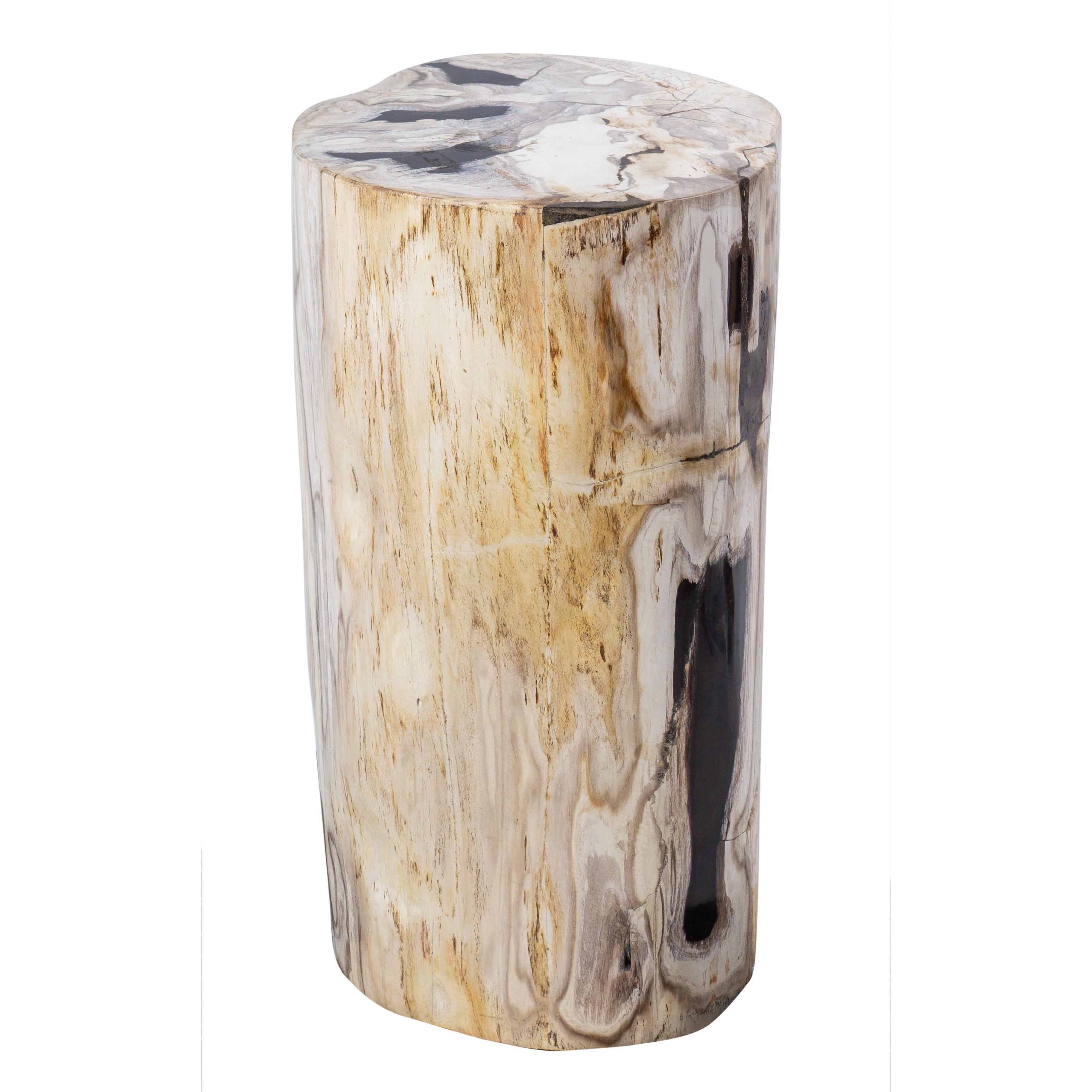 Petrified Wood Rustic Side Table - Organic Centerpiece For Sale 2