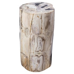 Petrified Wood Rustic Side Table - Organic Centerpiece
