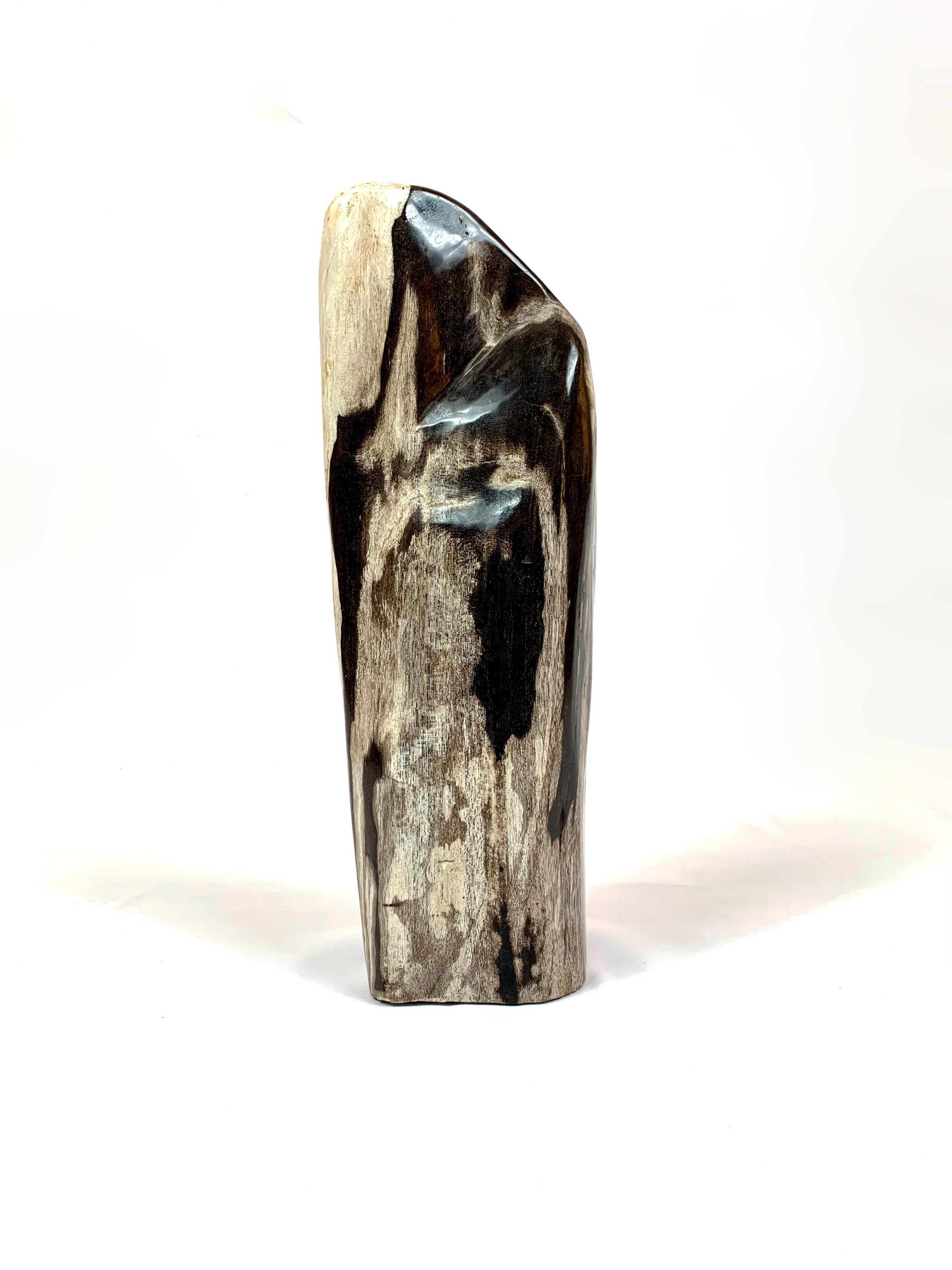 Petrified wood sculpture from Indonesia. Circa 250 Million Years Old

Natural History. From rare dinosaur skulls and Stone Age tools to the world’s earliest animals that date back millions of years, the Extraordinary Objects collection of natural